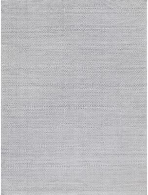 EXQUISITE RUGS Gamma Indoor/Outdoor Flatweave PET yarn Silver Area Rug.