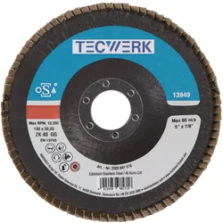 Tecwerk, Schleifmittel, Fächerscheibe (40)