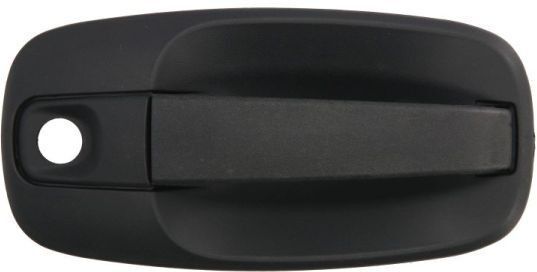 BLIC 6010-09-041410PP Door Handle