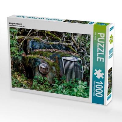 CALVENDO Puzzle Zugewachsen | 1000 Teile Lege-Größe 64x48cm Foto-Puzzle für glückliche Stunden