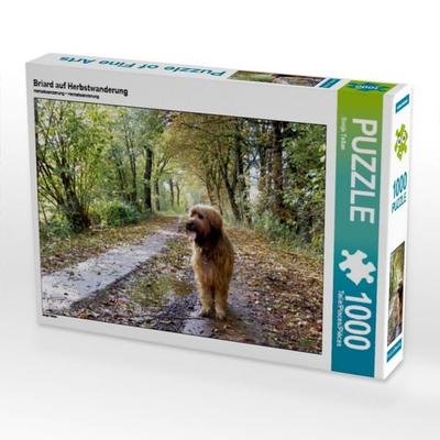 CALVENDO Puzzle Briard auf Herbstwanderung 1000 Teile Puzzle quer | 1000 Teile Lege-Größe 64 × 48 cm Foto-Puzzle für glückliche Stunden