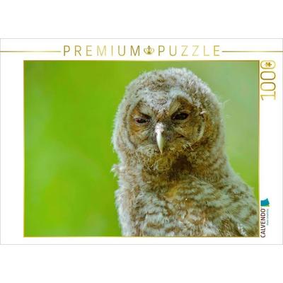 CALVENDO Puzzle Waldkauz-Ästling | 1000 Teile Lege-Größe 64x48cm Foto-Puzzle für glückliche Stunden