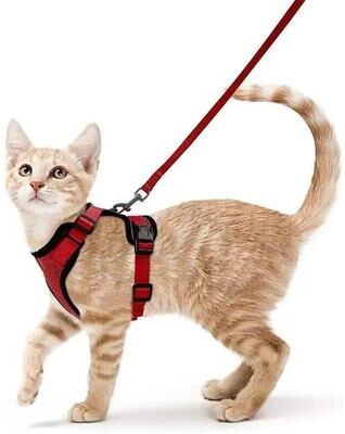 Uplifted Finds ATUBAN Escape Proof Cat Harness And Leash Set With Breathable Reflective Vest red xs