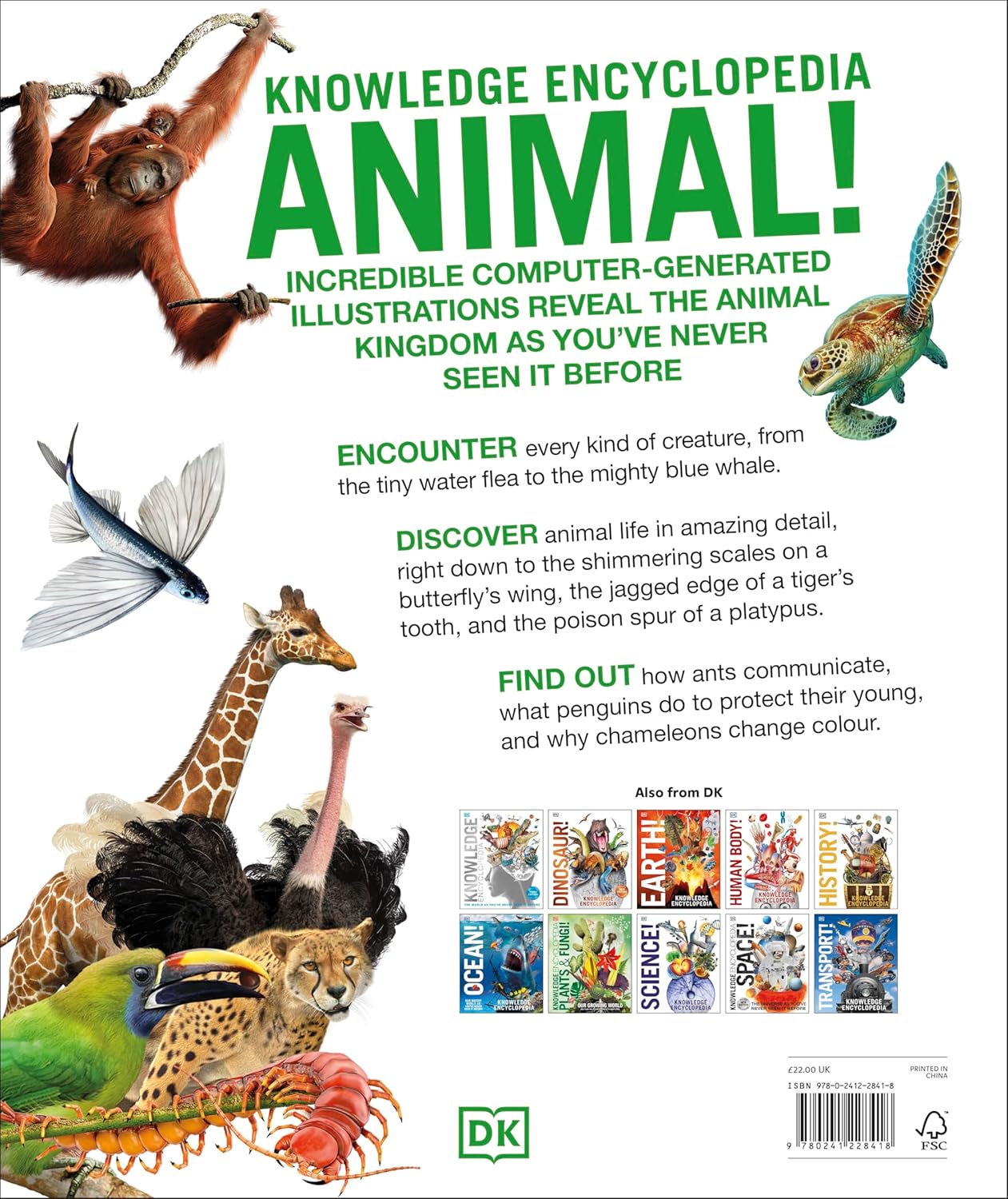 Knowledge Encyclopedia: Animal! by John Woodward - DK Hardback - Ages 9-12 - CGI Wildlife Encyclopedia for Kids