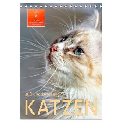 Katzen - süß und kuschelig (Tischkalender 2027 DIN A5 hoch), CALVENDO Monatskalender
