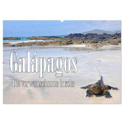Galápagos - Die verwunschenen Inseln (Wandkalender 2026 DIN A2 quer), CALVENDO Monatskalender