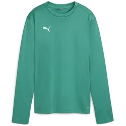 PUMA teamGOAL Trainings-Sweatshirt Damen 05 - sport green/power green/puma white XL