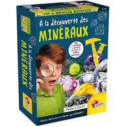 Lisciani Minéraux (f)