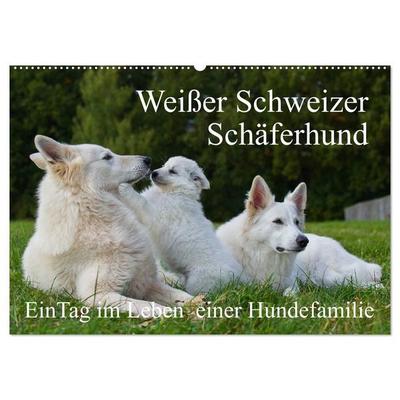 Weißer Schweizer Schäferhund - Ein Tag im Leben einer Hundefamilie (Wandkalender 2027 DIN A2 quer), CALVENDO Monatskalender