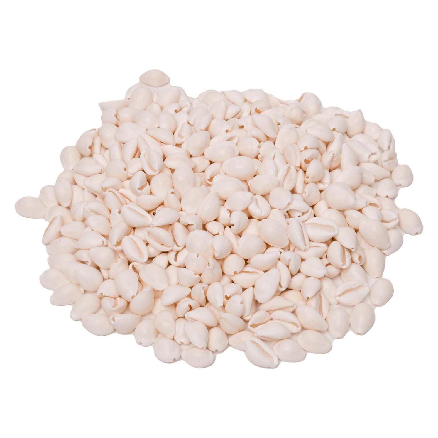 Colorations Colorationen - Muscheln Kauri, 300g (55623537)