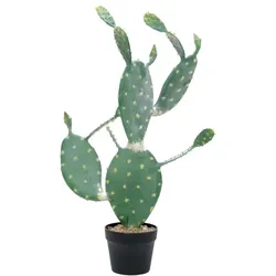 EUROPALMS Blätterkaktus, Kunstpflanze, 76cm