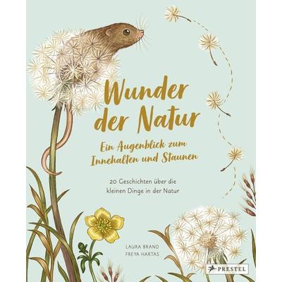 Wunder der Natur. Ein Augenblick zum Innehalten und Staunen, Gebundene Ausgabe von Laura Brand,Freya Hartas, Prestel, 978-3-7913-7543-4