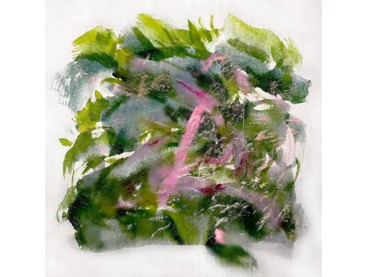 Forest Scenes