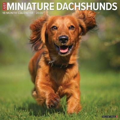 Miniature Dachshunds 2026 Wall Calendar