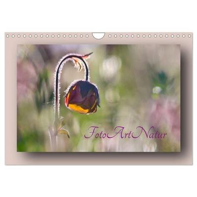 Foto-Art-Natur (Wandkalender 2026 DIN A4 quer), CALVENDO Monatskalender