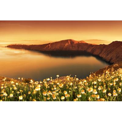 Fototapete PAPERMOON "Blumenwiese vor Bucht", bunt, B:5m L:2,8m, Vlies, Tapeten