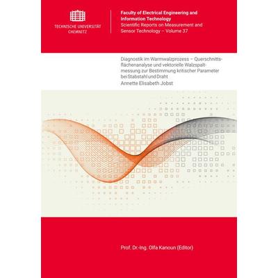 Diagnostik im Warmwalzprozess – Querschnittsflächenanalyse und vektorielle Walzspaltmessung zur Bestimmung kritischer Parameter bei Stabstahl und