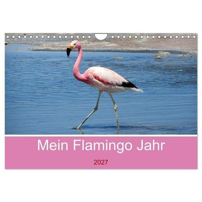 Mein Flamingo Jahr (Wandkalender 2027 DIN A4 quer), CALVENDO Monatskalender