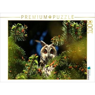 CALVENDO Puzzle Waldohreule | 1000 Teile Lege-Größe 64x48cm Foto-Puzzle für glückliche Stunden