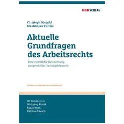 Aktuelle Grundfragen des Arbeitsrechts, Fachbücher