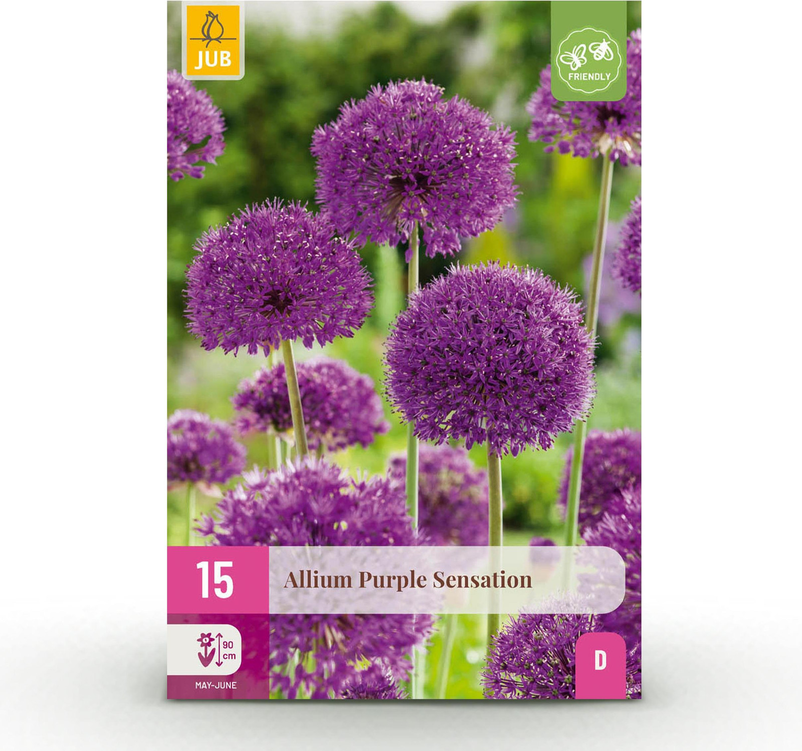 Allium Purple Sensation bloembollen - Paars - 15 stuks - Bolmaat 10/12 - Pflanzenboutique