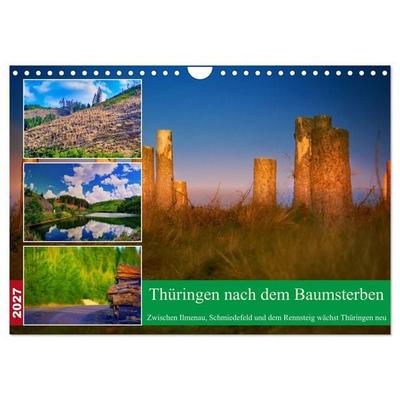 Thüringen nach dem Baumsterben (Wandkalender 2027 DIN A4 quer), CALVENDO Monatskalender