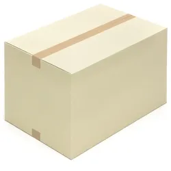 KK Verpackungen 300 Graskartons 600 x 400 x 400 mm Grapapier Kartons Versandkartons aus Graspapier