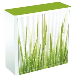 easyOffice Rollladenschrank Motiv grüne Grashalme grün, 110x104x41.5 cm