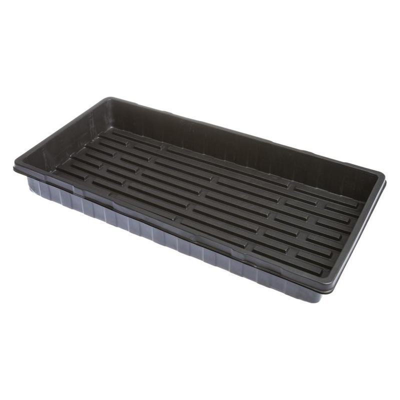 Garden Center Germination tray, 56 cm x 28.5 cm x 5.5 cm (60389531)