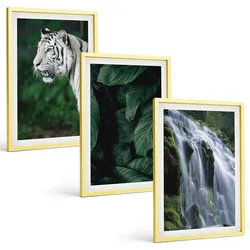 BILDER SET 3er Set - 40x60 cm Goldrahmen - Wasserfall aus weißen Tigerblättern