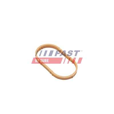 FAST Dichtung, Ansaugkrümmergehäuse FT49461 Eingang für Fiat Opel Iveco NISSAN