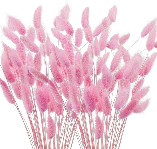 Benza 120 stengels roze pampa gras gedroogde bloemen decoratieset