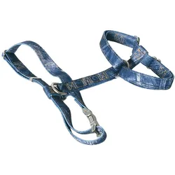 Image Jeans (L, Hund, Spazieren), Halsband + Leine