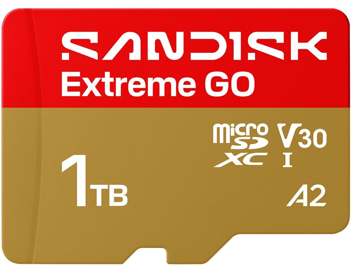 SanDisk Extreme Go microSDHC UHS-I Flashgeheugenkaart, 1 TB, A2 / Video Class V30 / UHS-I