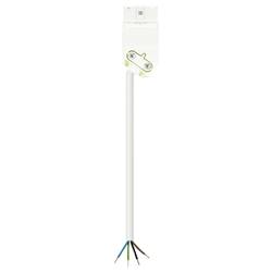 Wieland Electric 91.207.2004.2 Anschlussleitung Weiß 2 m