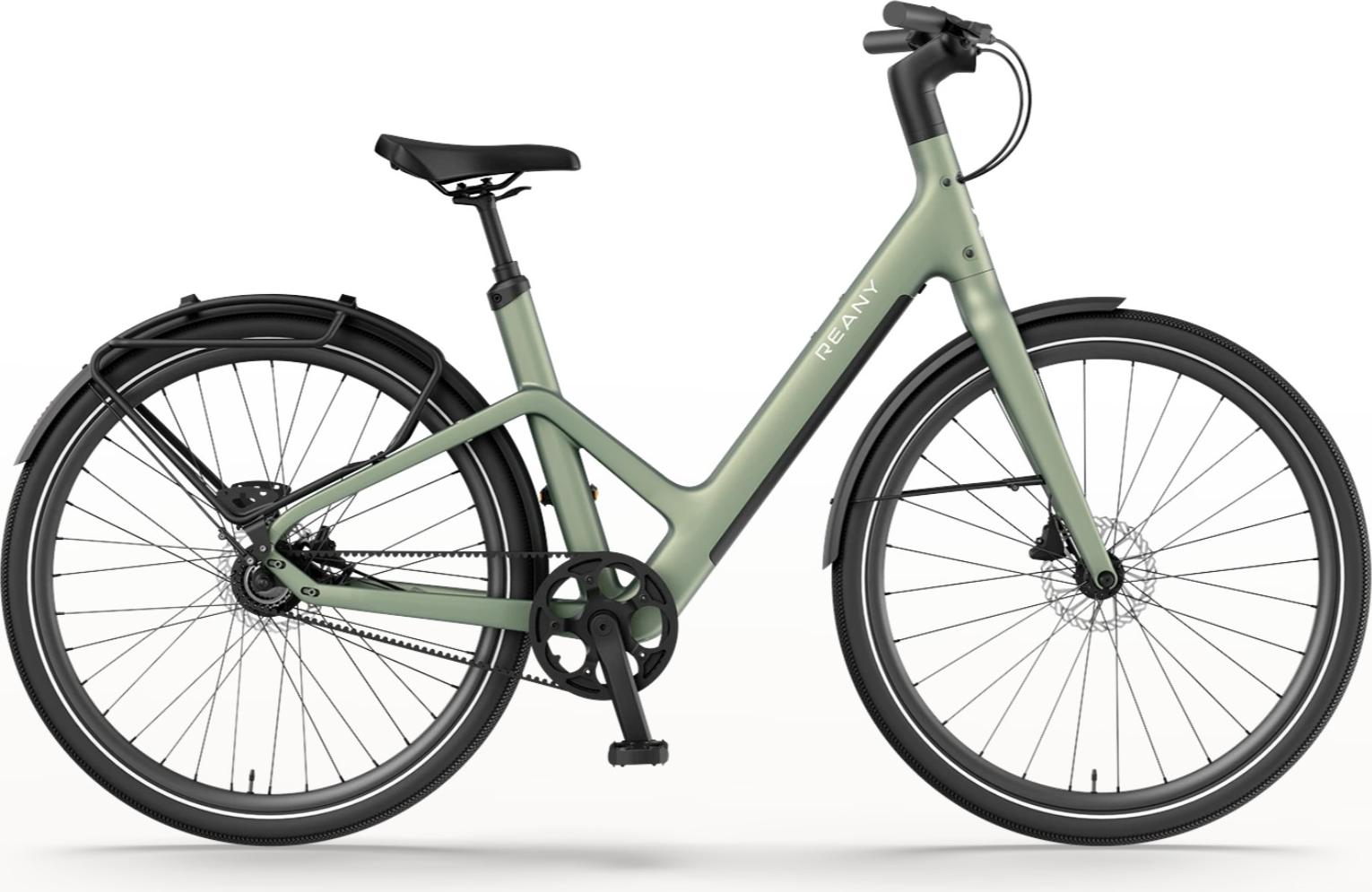Reany W1 GT-Serie in Sage Green (Comfort-Lenker)