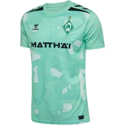 hummel SV Werder Bremen Torwarttrikot 2026/27 6841 - ice green wo sleeve S