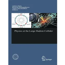 Physics at the Large Hadron Collider, Fachbücher