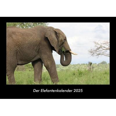 Der Elefantenkalender 2025 Fotokalender DIN A3