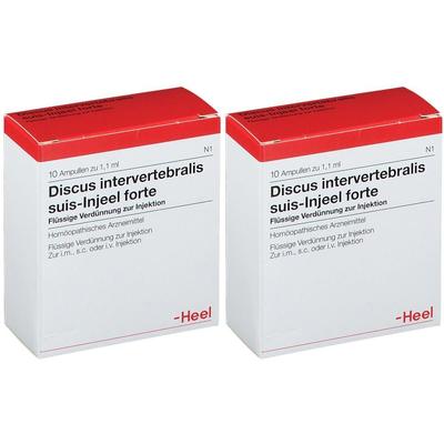 Discus Intervertebralis suis Injeel forte Ampullen 2x 2x10 St