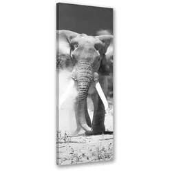 WANDBILD afrikanischer elefant schwarz und weiß