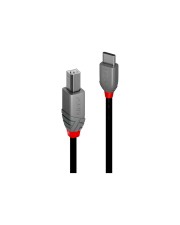 Lindy 0.5m USB 2.0 Typ C an B Kabel Anthra Line Digital/Daten 0,5 m (36940)