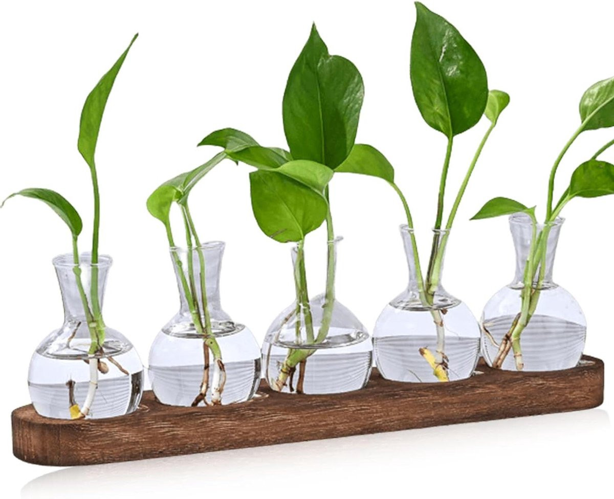 Allecto Plus Vintage propagatiestation voor planten met houten dienblad en glazen vazen - Set van 5 - Bruin hout