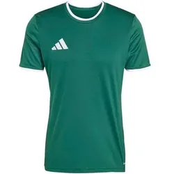 ADIDAS Herren Trikot Entrada26 Trikot, Größe L in Grau Grau