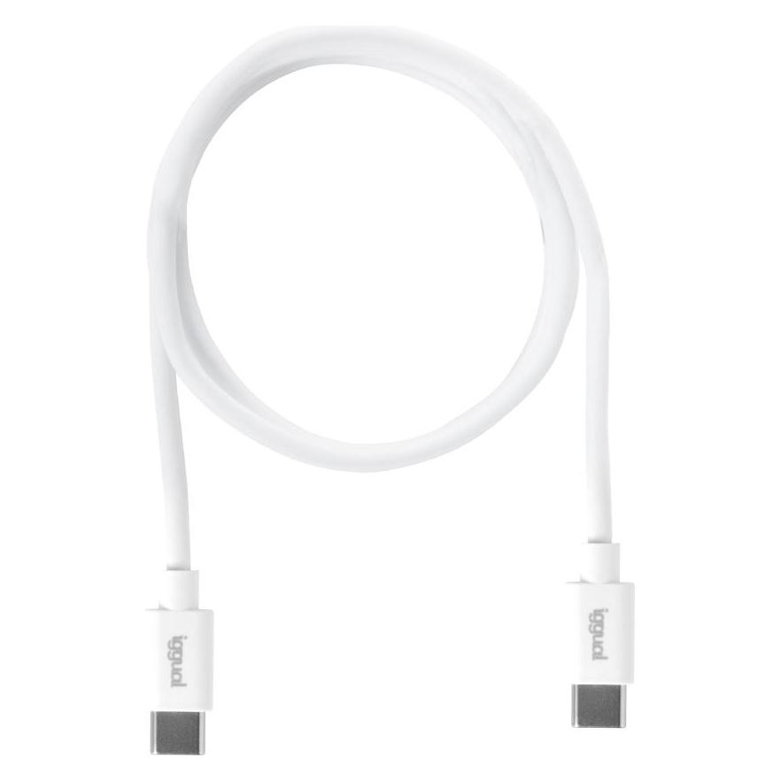 Iggual Wandladegerät IGG317365 (1 m, USB 2.0, 60 W) (IGG317365)