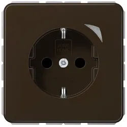 Jung SCHUKO Steckdose 16 A 250V BT CD 1521 S BR