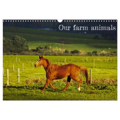 Our farm animals (Wall Calendar 2026 DIN A3 landscape), CALVENDO 12 Month Wall Calendar