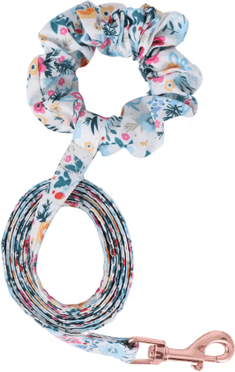 Inspire Picks Cute Small Dog Harness & Leash Set Soft Adjustable Puppy Vest With Cat Collar Accessories blue Leash m
