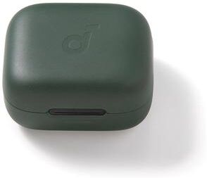 soundcore P30i Charging Case- Black