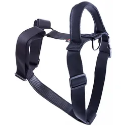 Martin Sellier XL (XL, Hund, Allgemein, Spazieren), Halsband + Leine